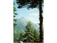 Old postcard - Pirin, Mount Gazei