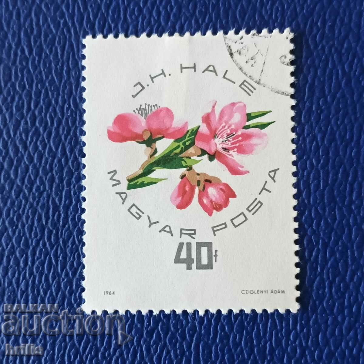 HUNGARY 1964 - FLORA, FLOWERS