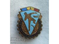 Badge 2nd Youth Spartakiad, Romania 1957