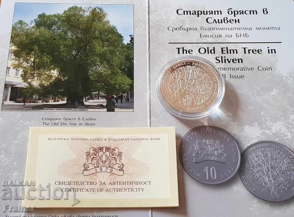 10 Leva 2018 Year The Old Elm in Sliven