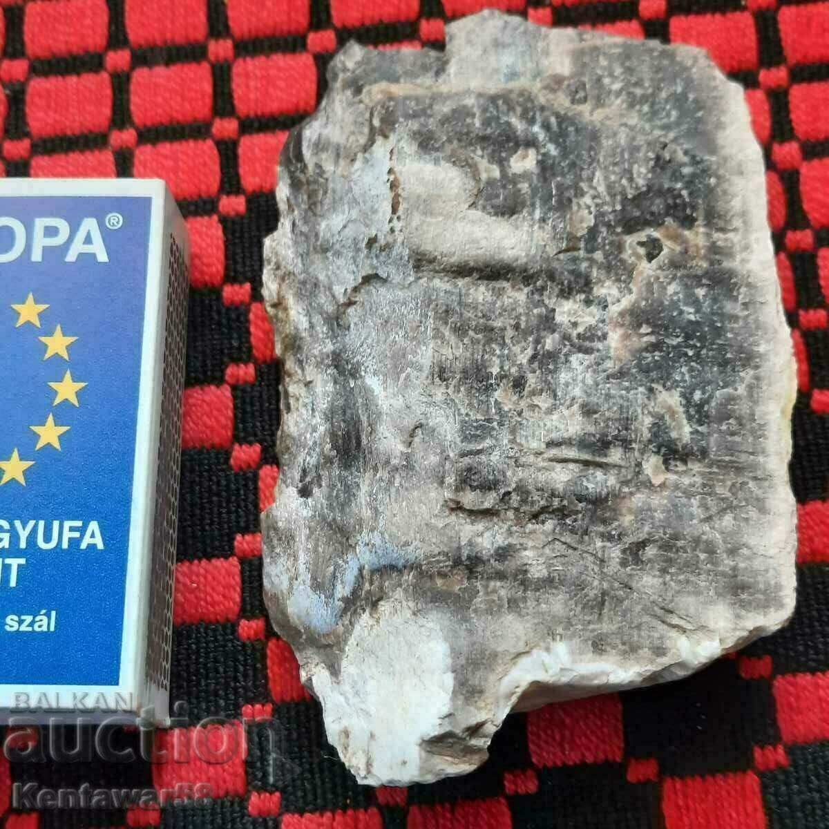 Petrified opalized wood. with price 2.00 BGN | € 1.02