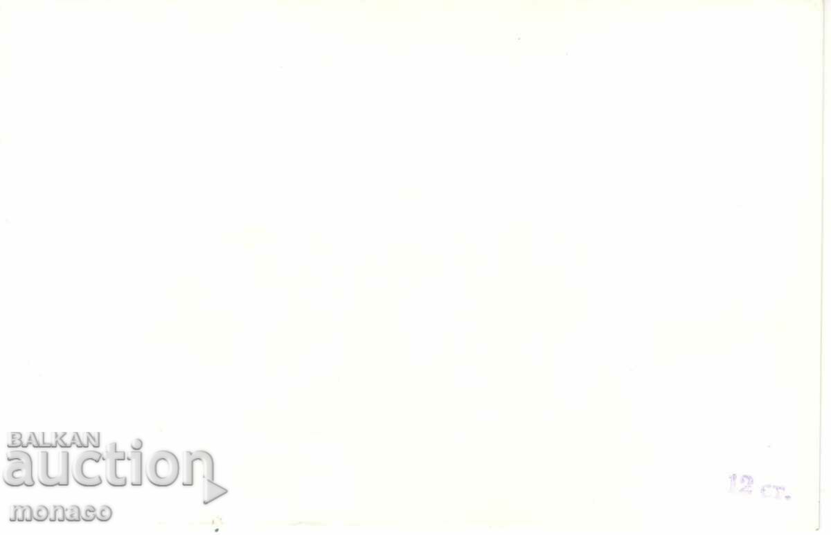 Old Postcard - Govedartsi, General with price 2.20 BGN | € 1.12