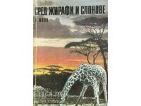 Among Giraffes and Elephants - Eckhard Schultz