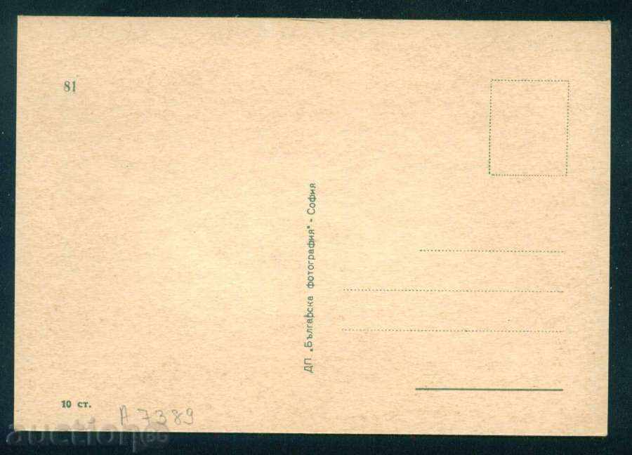 Art. Tsoneva - model and puppets PIANO VICTORY GIRL A7389 with price 2.50 BGN | € 1.28 Art. Tsoneva - model and puppets PIANO VICTORY GIRL A7389 with price 2.50 BGN | € 1.28