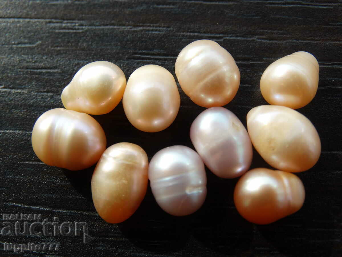 Φυσικά ακατέργαστα μαργαριτάρια akoya 47,20 καρατίων 10 τεμάχια με τιμή 69.99 BGN | € 35.79 Φυσικά ακατέργαστα μαργαριτάρια akoya 47,20 καρατίων 10 τεμάχια με τιμή 69.99 BGN | € 35.79