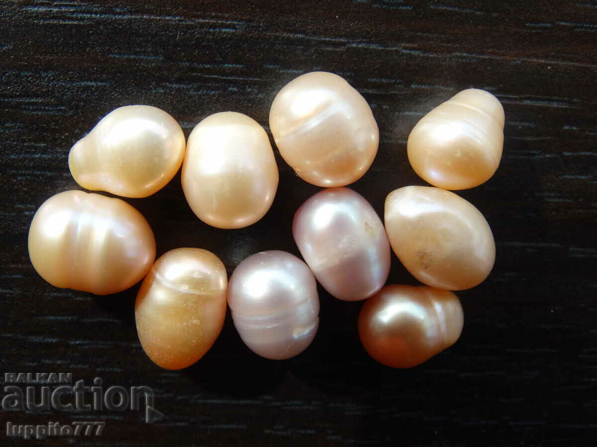 Δημοπρασία Φυσικά ακατέργαστα μαργαριτάρια akoya 47,20 καρατίων 10 τεμάχια Δημοπρασία Φυσικά ακατέργαστα μαργαριτάρια akoya 47,20 καρατίων 10 τεμάχια