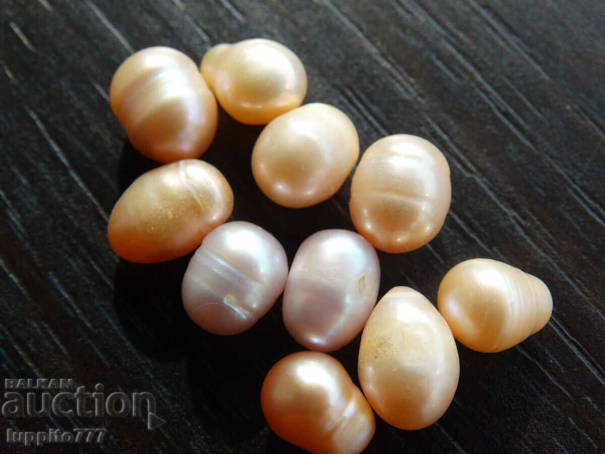 Παράδοση Φυσικά ακατέργαστα μαργαριτάρια akoya 47,20 καρατίων 10 τεμάχια Παράδοση Φυσικά ακατέργαστα μαργαριτάρια akoya 47,20 καρατίων 10 τεμάχια