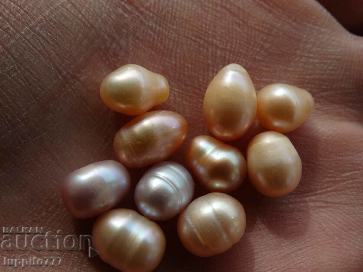 Φυσικά ακατέργαστα μαργαριτάρια akoya 47,20 καρατίων 10 τεμάχια - 5 Φυσικά ακατέργαστα μαργαριτάρια akoya 47,20 καρατίων 10 τεμάχια - 5