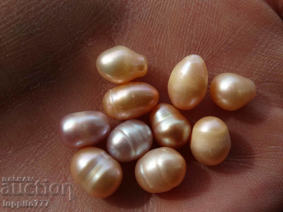 Φυσικά ακατέργαστα μαργαριτάρια akoya 47,20 καρατίων 10 τεμάχια - 6 Φυσικά ακατέργαστα μαργαριτάρια akoya 47,20 καρατίων 10 τεμάχια - 6