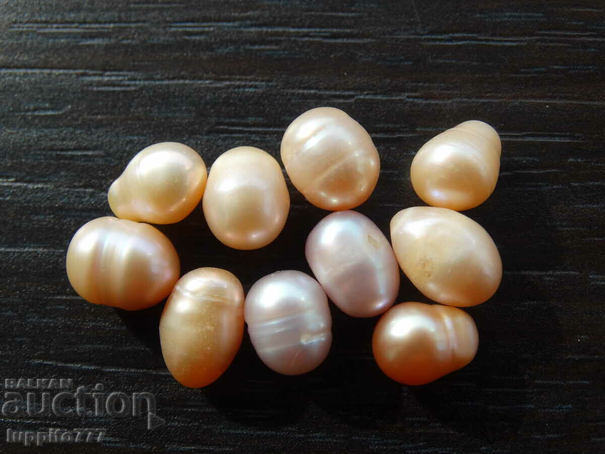 47,20 carate perle akoya naturale brute 10 buc