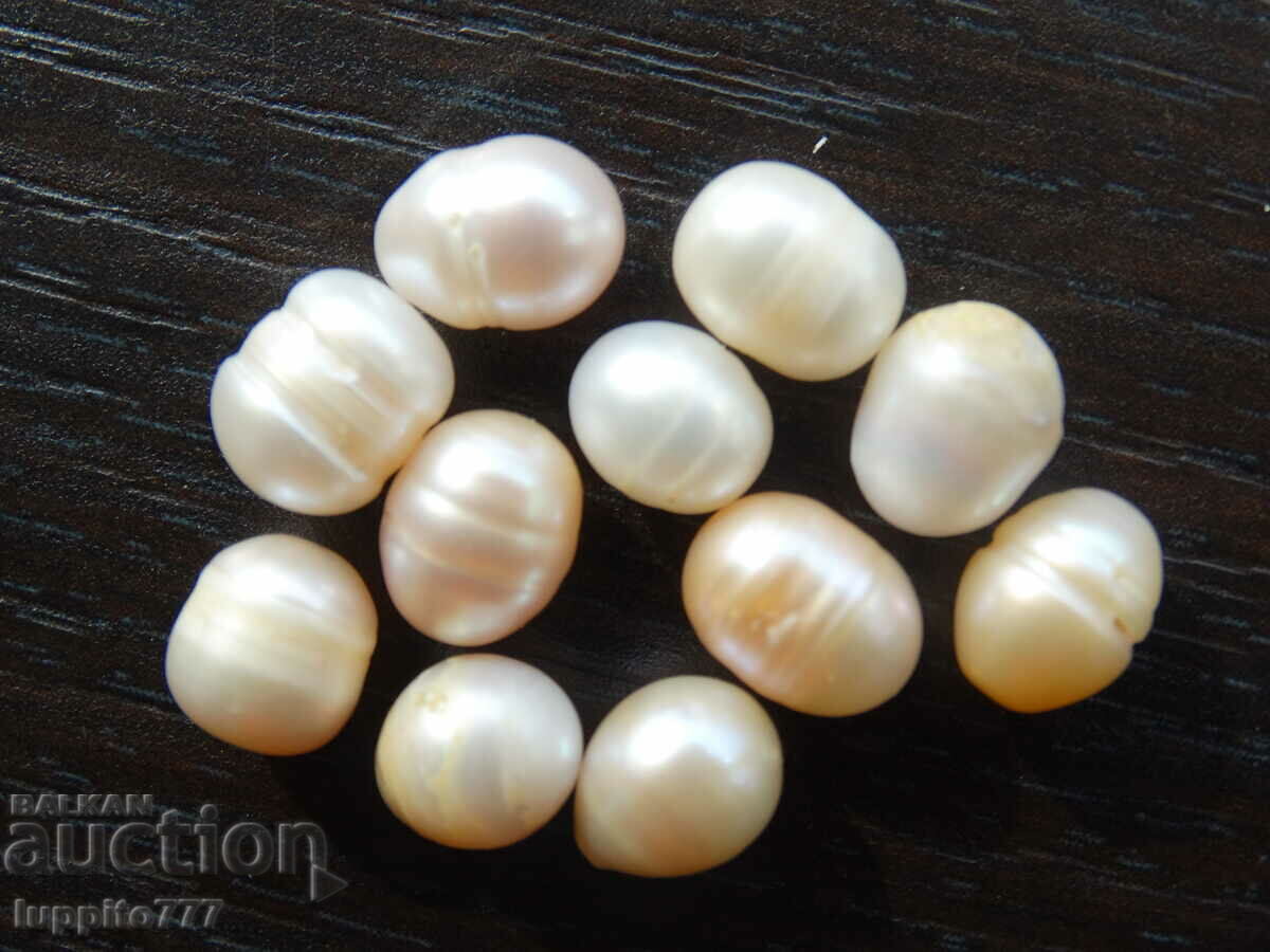 Δημοπρασία Φυσικά ακατέργαστα μαργαριτάρια akoya 48,90 καρατίων 11 τεμάχια Δημοπρασία Φυσικά ακατέργαστα μαργαριτάρια akoya 48,90 καρατίων 11 τεμάχια
