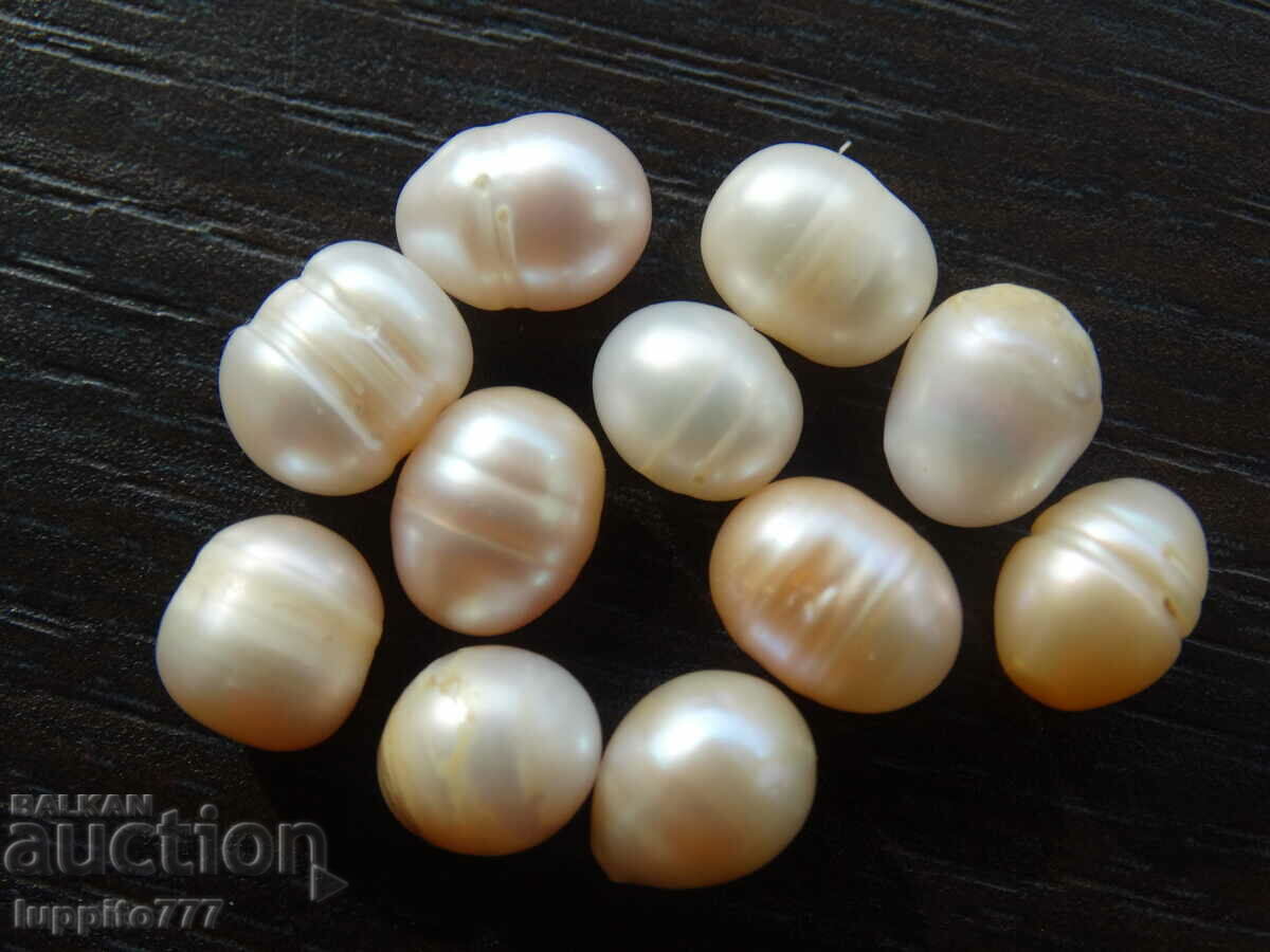 48.90 карата естествени необработени акоя перли 11 броя