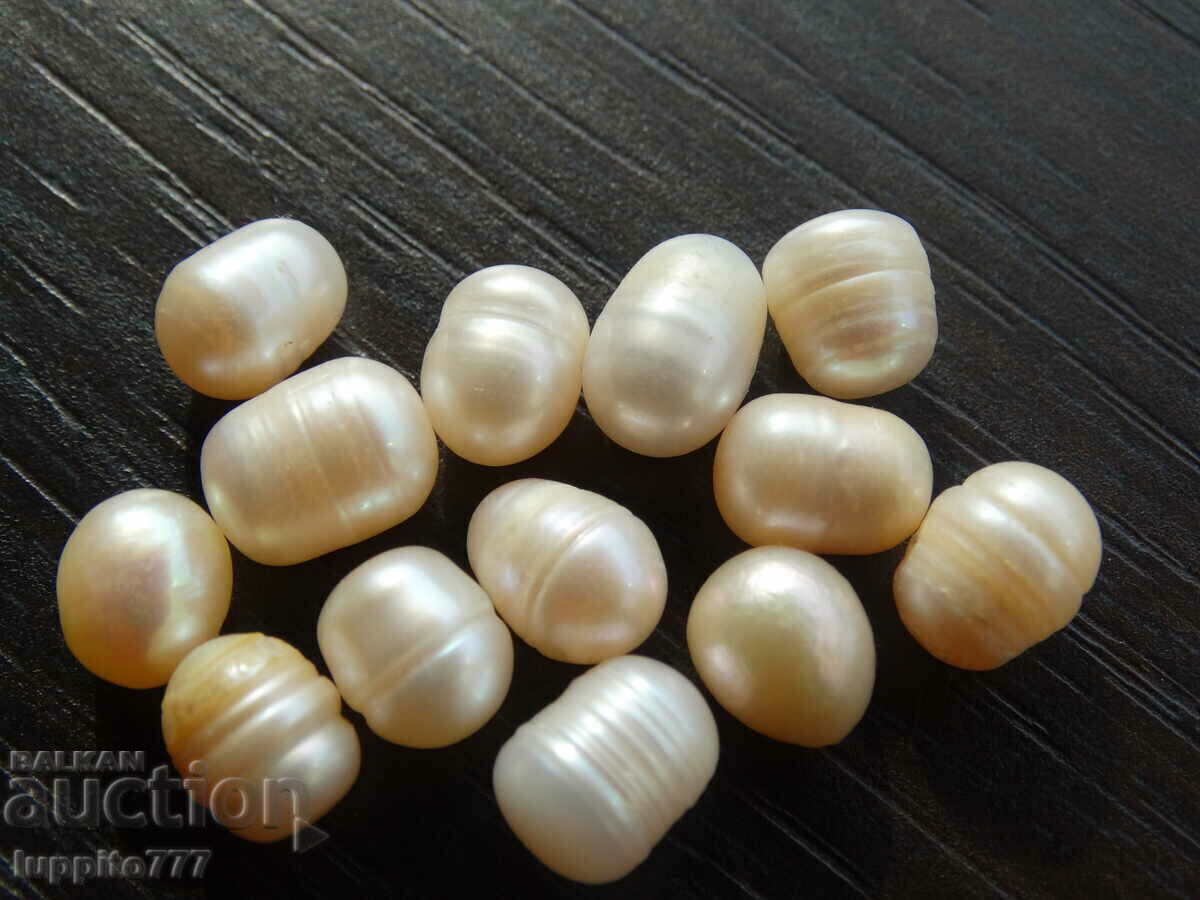 61.90 set of natural akoya pearls 13 pieces with price 69.90 BGN | € 35.74 61.90 set of natural akoya pearls 13 pieces with price 69.90 BGN | € 35.74