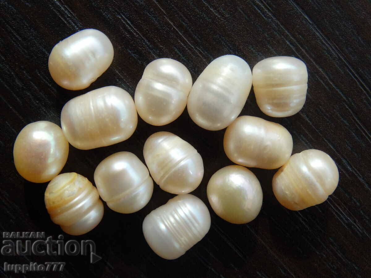 Auction 61.90 set of natural akoya pearls 13 pieces Auction 61.90 set of natural akoya pearls 13 pieces