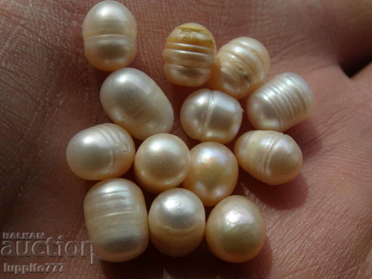 Delivery of 61.90 set of natural akoya pearls 13 pieces Delivery of 61.90 set of natural akoya pearls 13 pieces