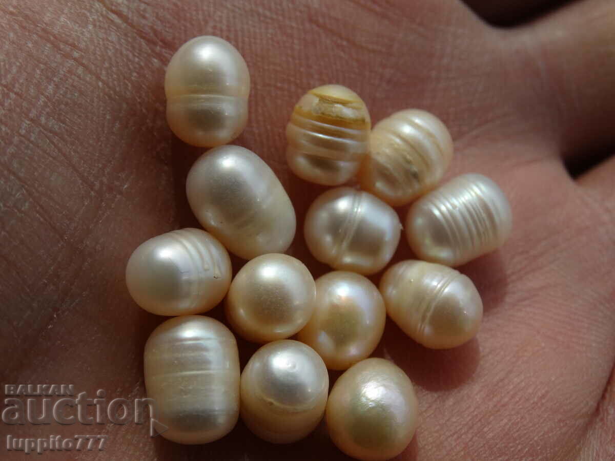 61.90 set of natural akoya pearls 13 pieces - 5 61.90 set of natural akoya pearls 13 pieces - 5
