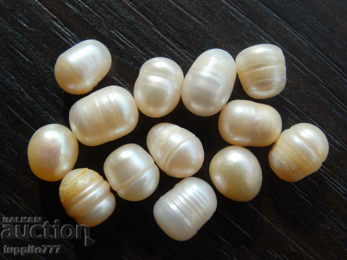 61,90 carate perle akoya naturale brute 13 buc