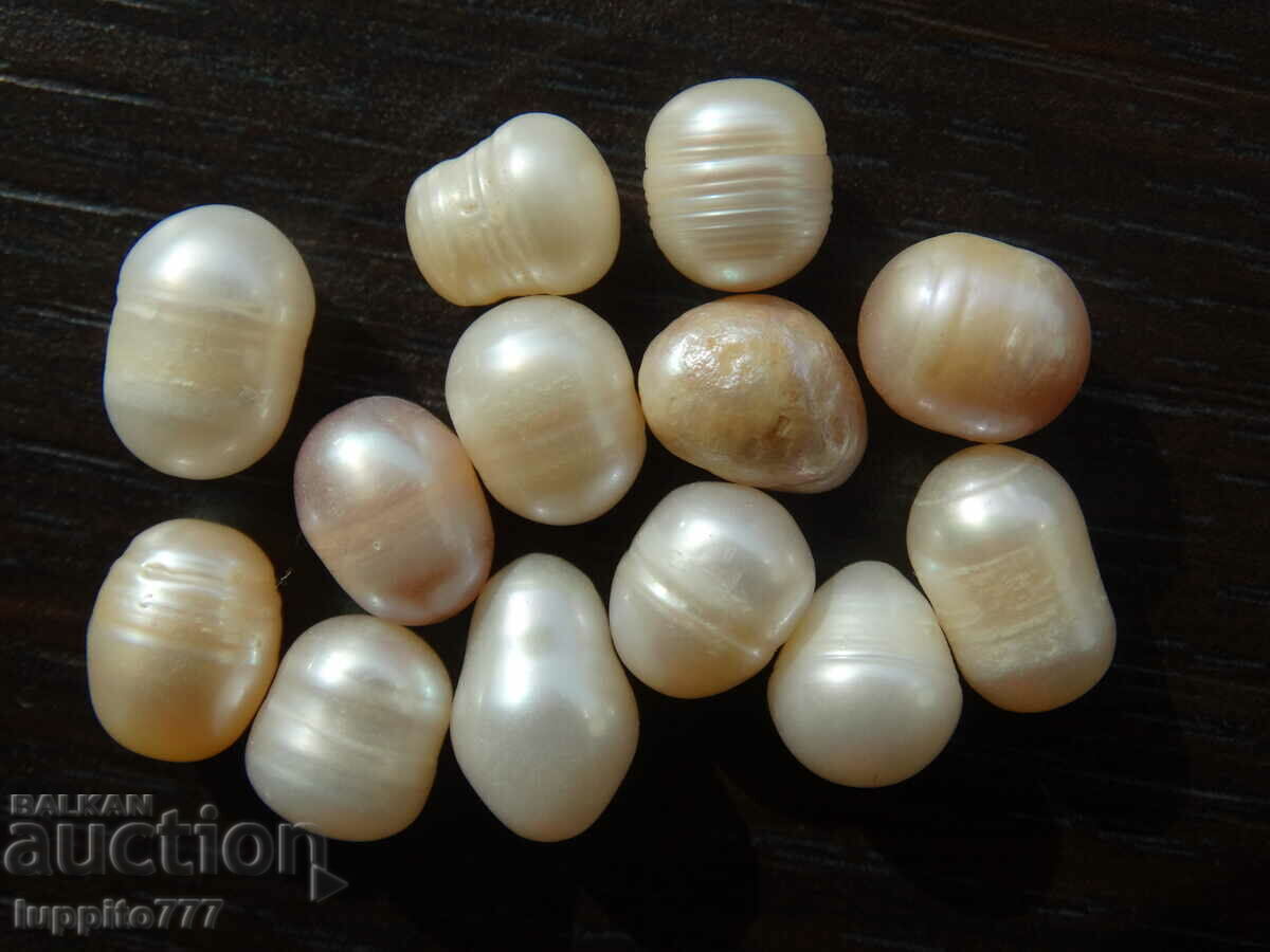 Auction 62.15 carat natural raw akoya pearls 13 pieces Auction 62.15 carat natural raw akoya pearls 13 pieces