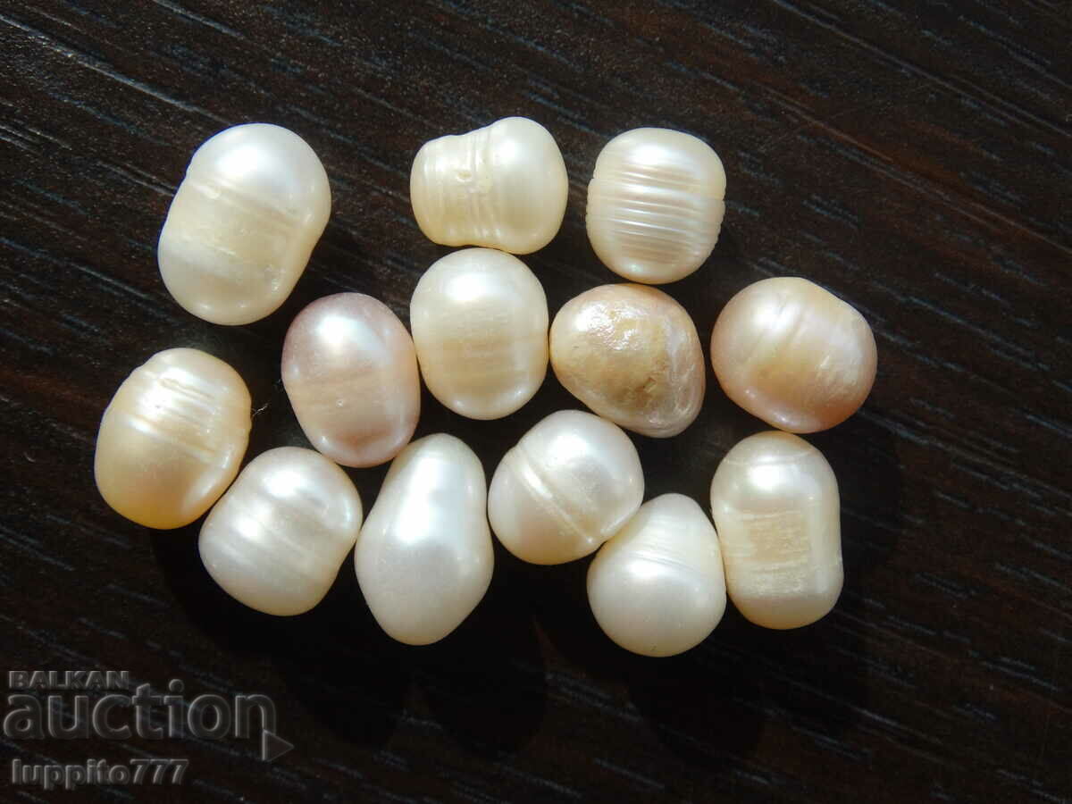 Delivery of 62.15 carat natural raw akoya pearls 13 pieces Delivery of 62.15 carat natural raw akoya pearls 13 pieces