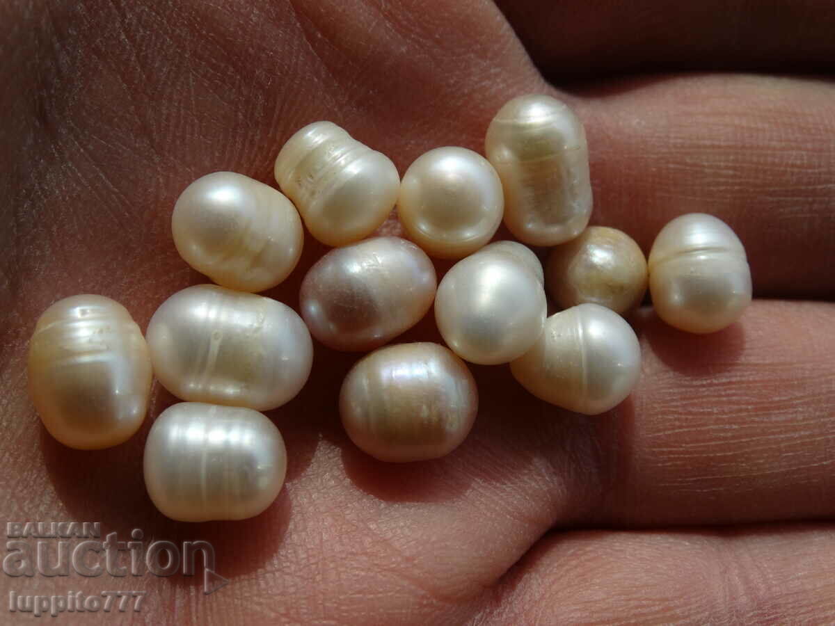 62,15 carate perle akoya naturale brute 13 buc