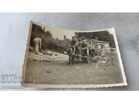 Photo Youth with a donkey cart