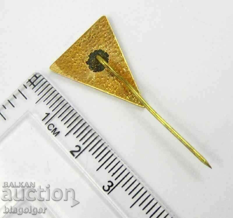 Auction  CHOIR CAVAL 1927-OLD BADGE-ENAMEL