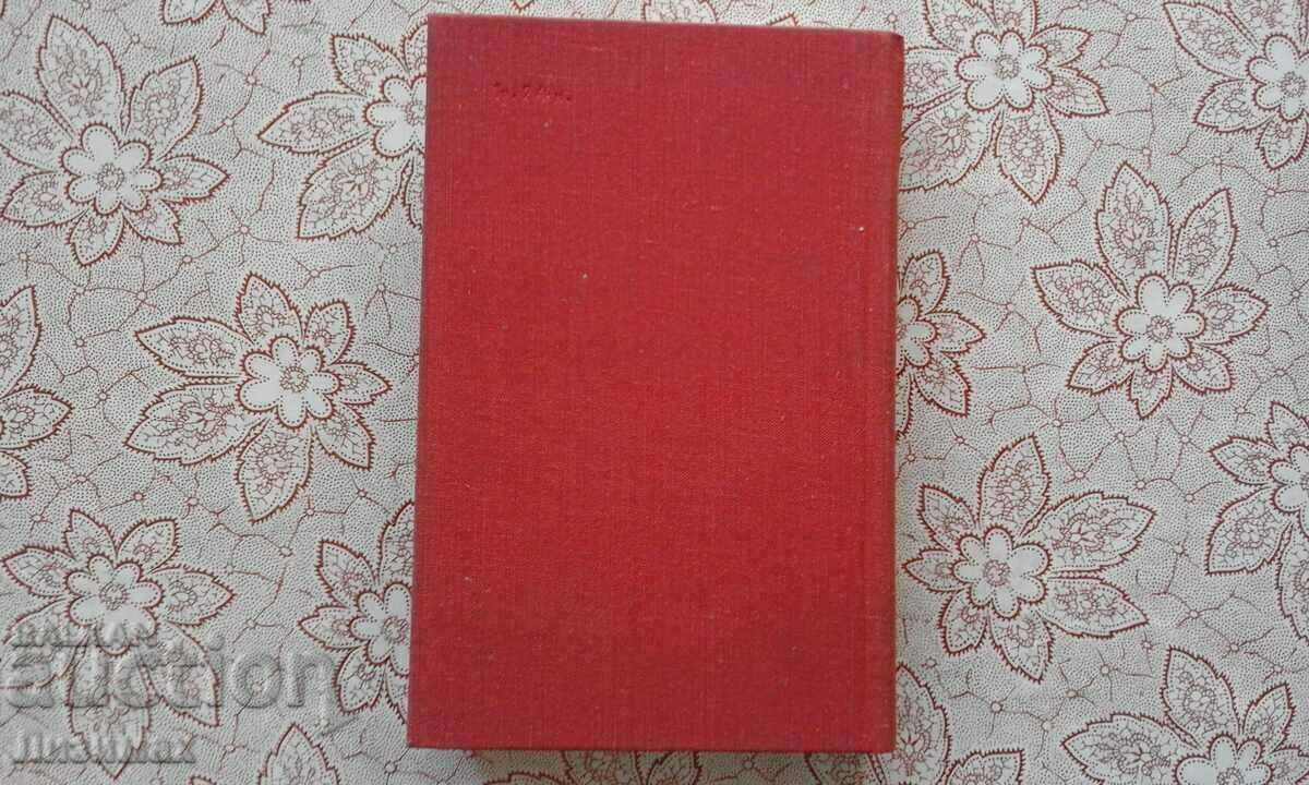 Auction A modern Portuguese short story Auction A modern Portuguese short story