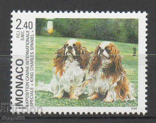 1994. Monaco. International Dog Show, Monte Carlo.