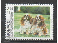1994. Μονακό. Διεθνής Έκθεση Σκύλων, Μόντε Κάρλο.
