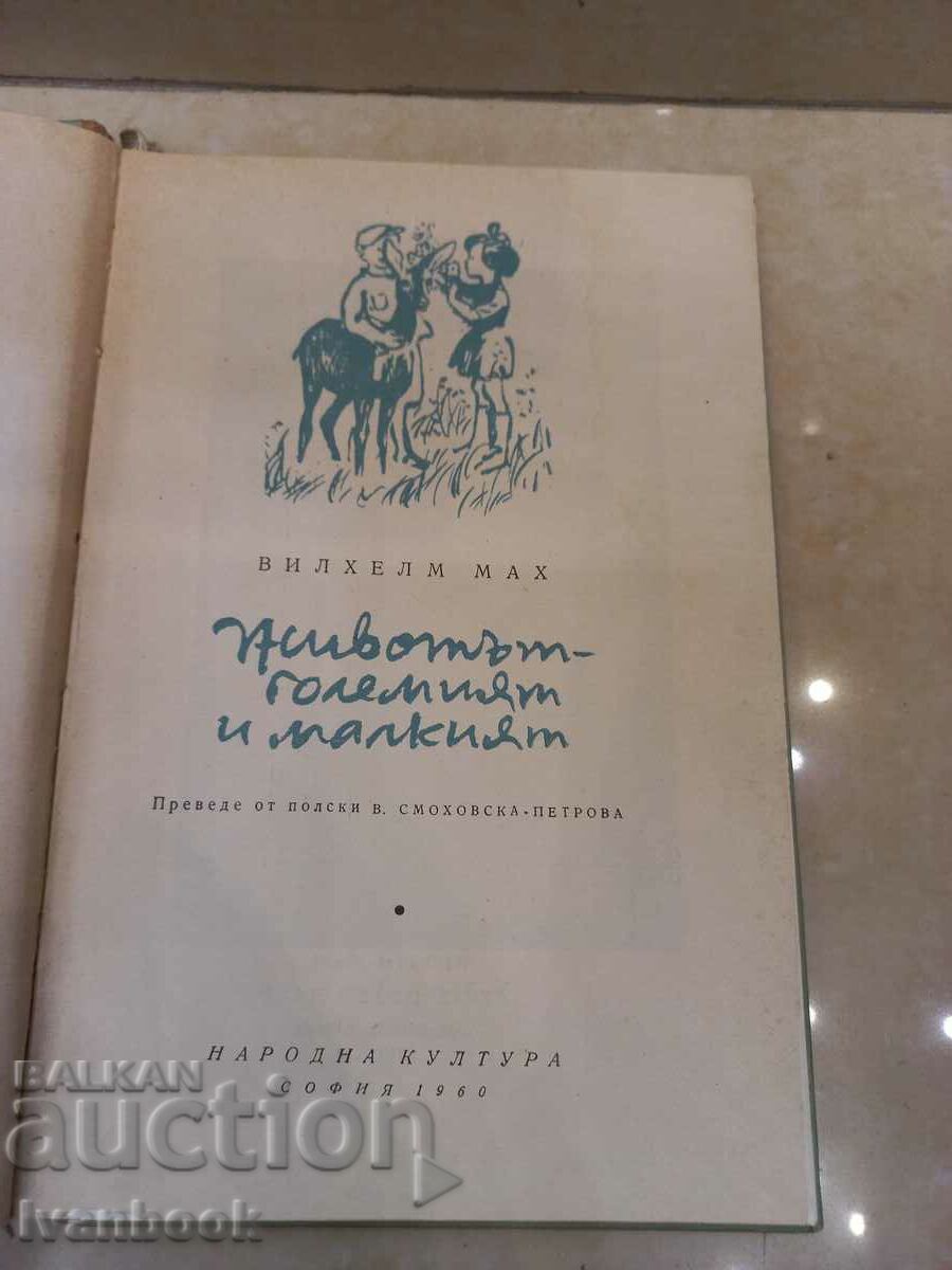 Auction Wilhelm Mach - Life big and small Auction Wilhelm Mach - Life big and small