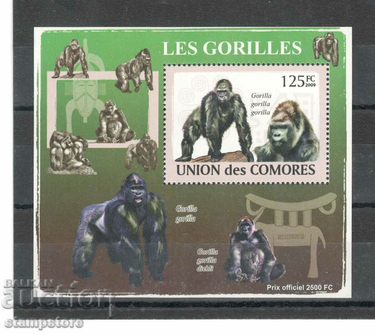 Insulele Comore - Gorile