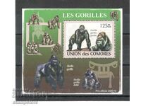 Comoros Islands - Gorillas