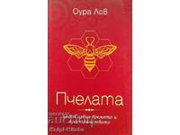 Η μέλισσα. Βιβλίο 1: Αγάπη πέρα από τον χρόνο και τον χώρο