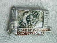 Badge - Kozloduy - Okolchitsa