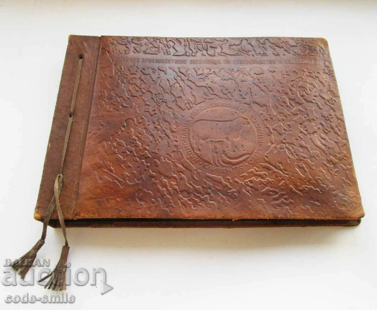 Star Sots album large photos exhibition sheep farming rams sheep with price 150.00 BGN | € 76.69