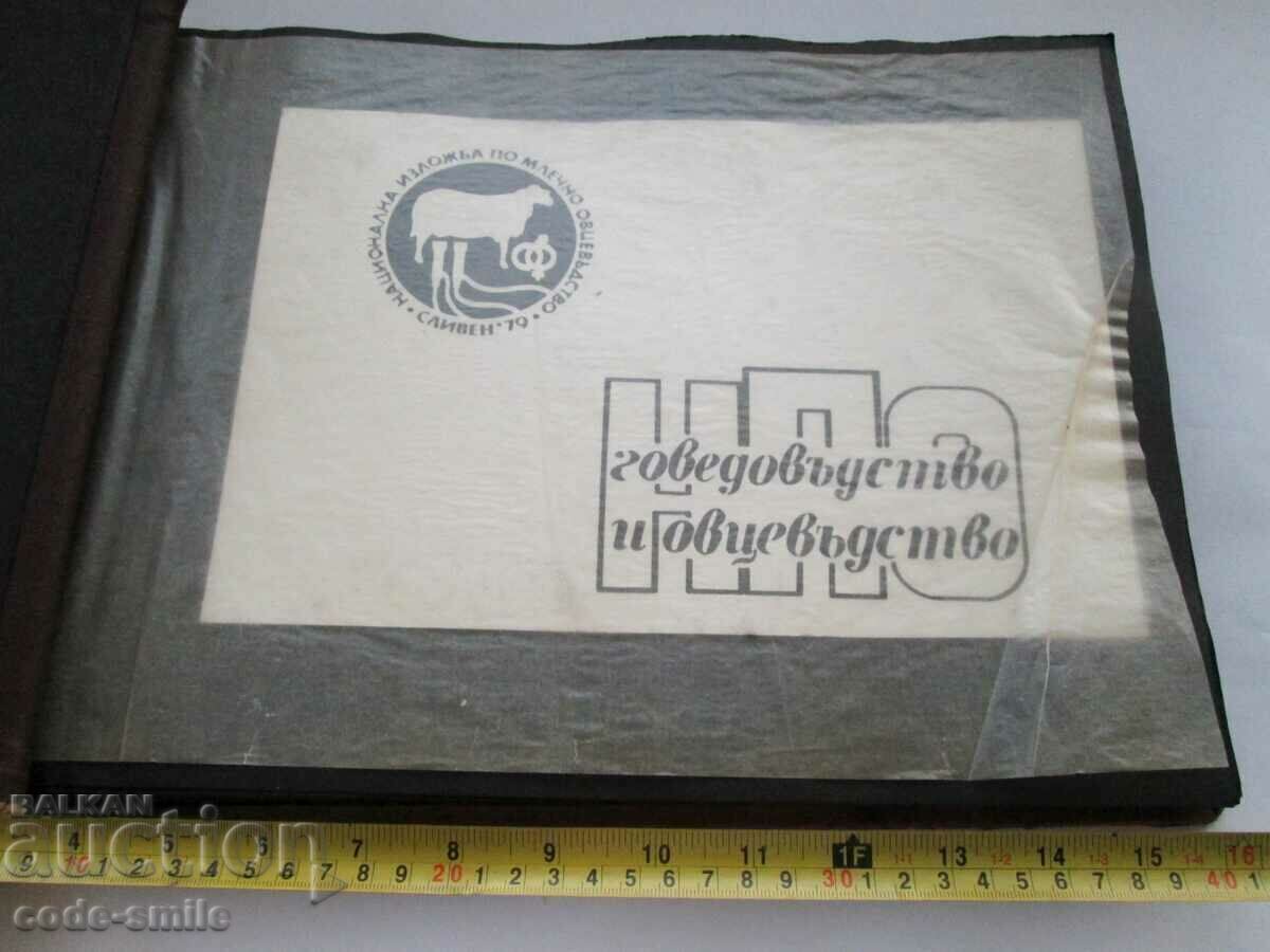 Auction  Star Sots album large photos exhibition sheep farming rams sheep