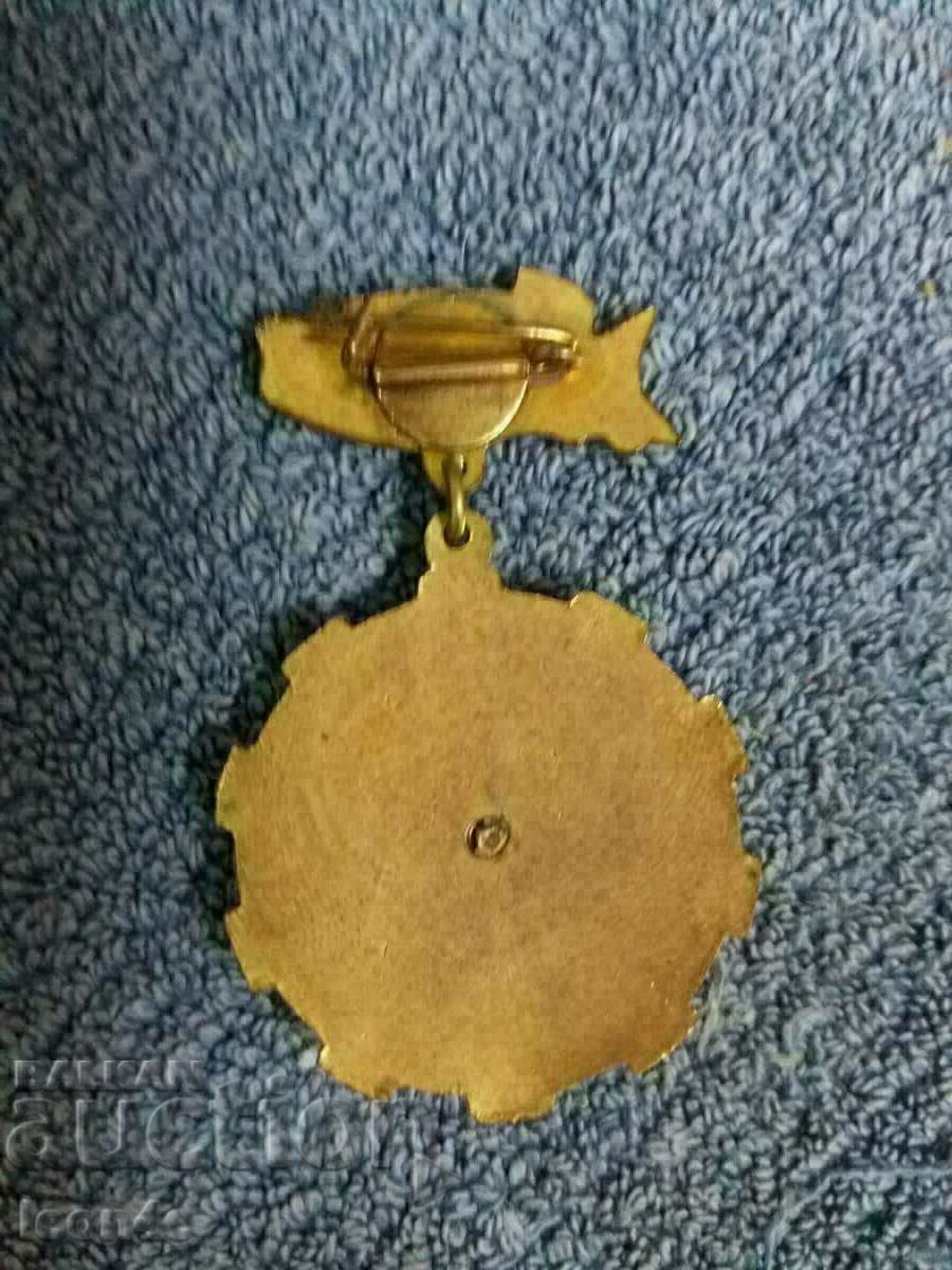 Social Sign Bronze Enamel with price 10.00 BGN | € 5.11 Social Sign Bronze Enamel with price 10.00 BGN | € 5.11