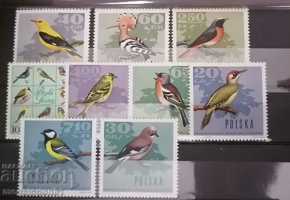 Полша  - фауна , птици