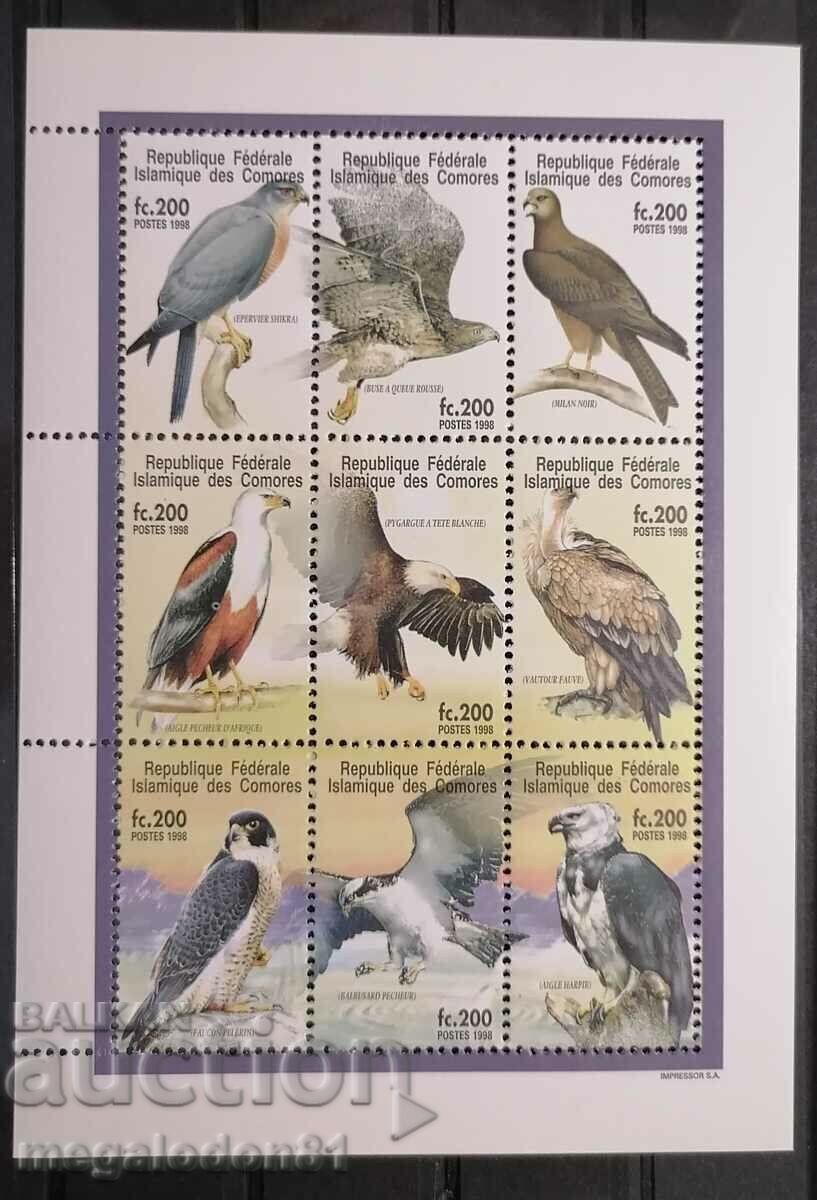 Chambers - fauna, birds of prey