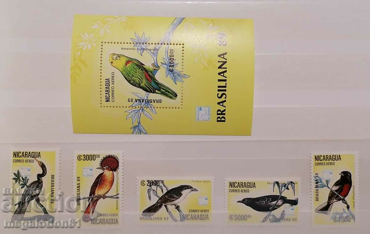 Nicaragua - fauna, birds