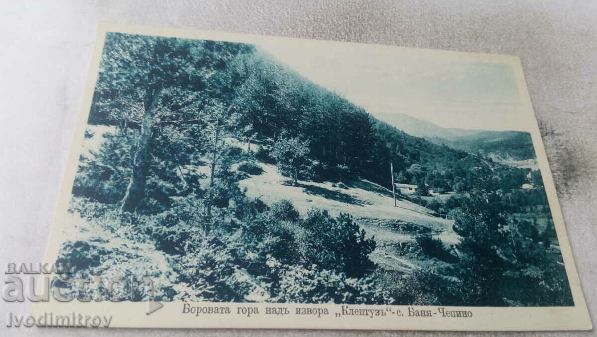 П К Баня-Чепино Боровата гора надъ извора Клептузъ