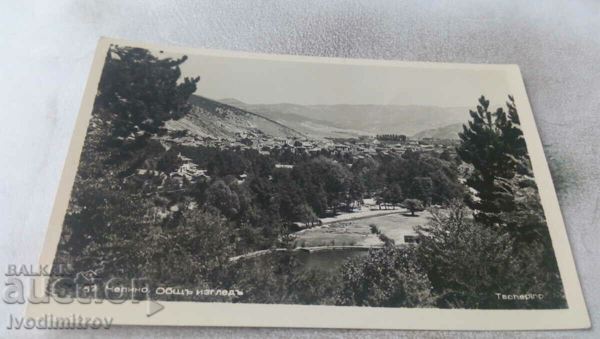Carte poștală Chepino Vedere generală Gr. Paștele 1940