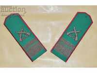 A pair of hard epaulets of a Border Troops Sergeant NEW