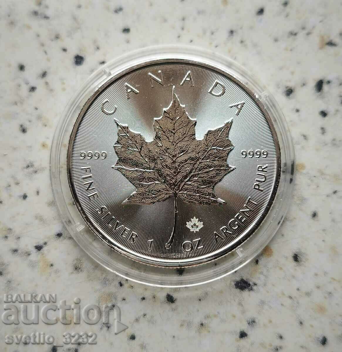 Silver 1 OZ 2022 Maple Leaf