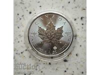 Silver 1 OZ 2022 Maple Leaf