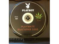 Playboy Bulgaria set of 5 DVDs