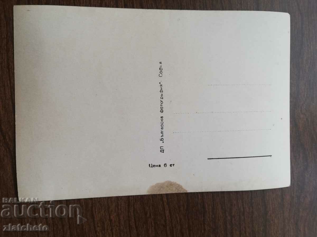 Postal card Bulgaria with price 3.00 BGN | € 1.53 Postal card Bulgaria with price 3.00 BGN | € 1.53