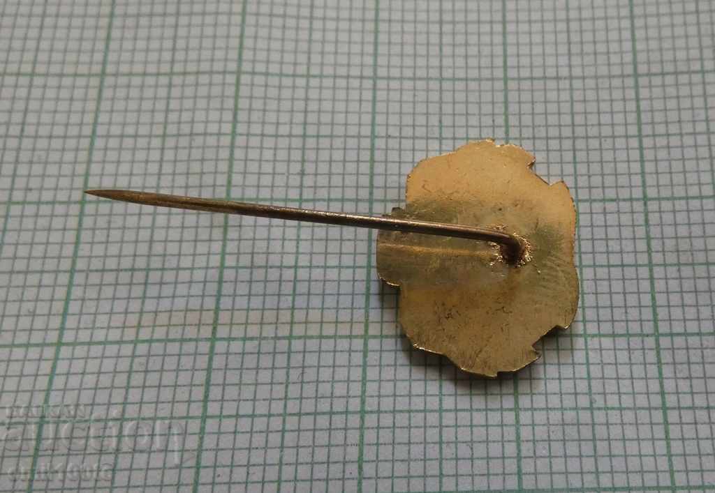 Livrarea Insigna - 60 de ani Comitetul Olimpic al Bulgariei Livrarea Insigna - 60 de ani Comitetul Olimpic al Bulgariei