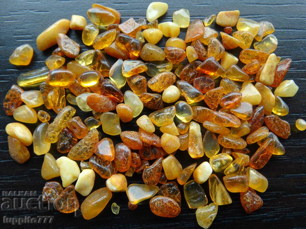 Auction  36.50 ct natural Baltic amber lot 100 pcs.+