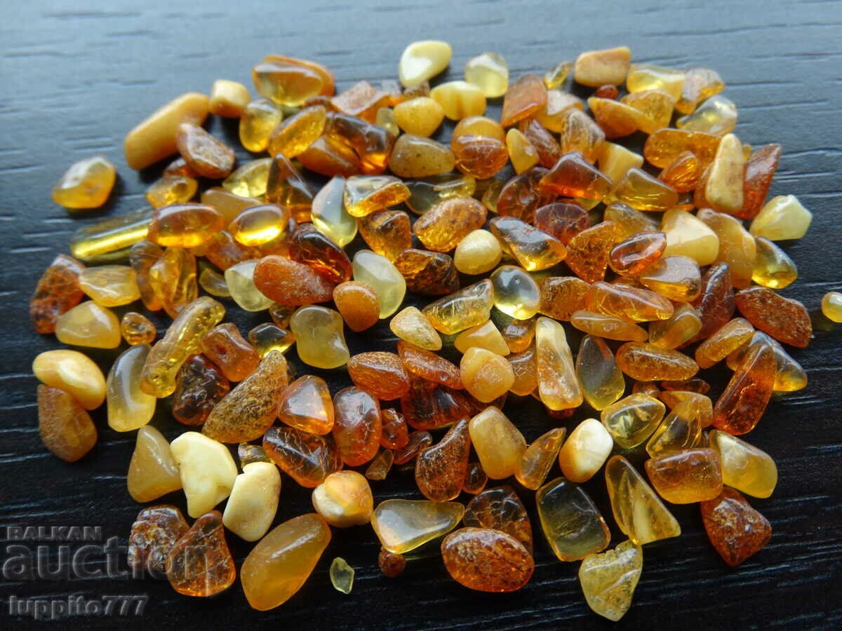 36.50 ct natural Baltic amber lot 100 pcs.+